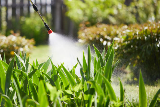 24/7 Emergency Mosquito Control experts in Lake St. Croix Beach, MN